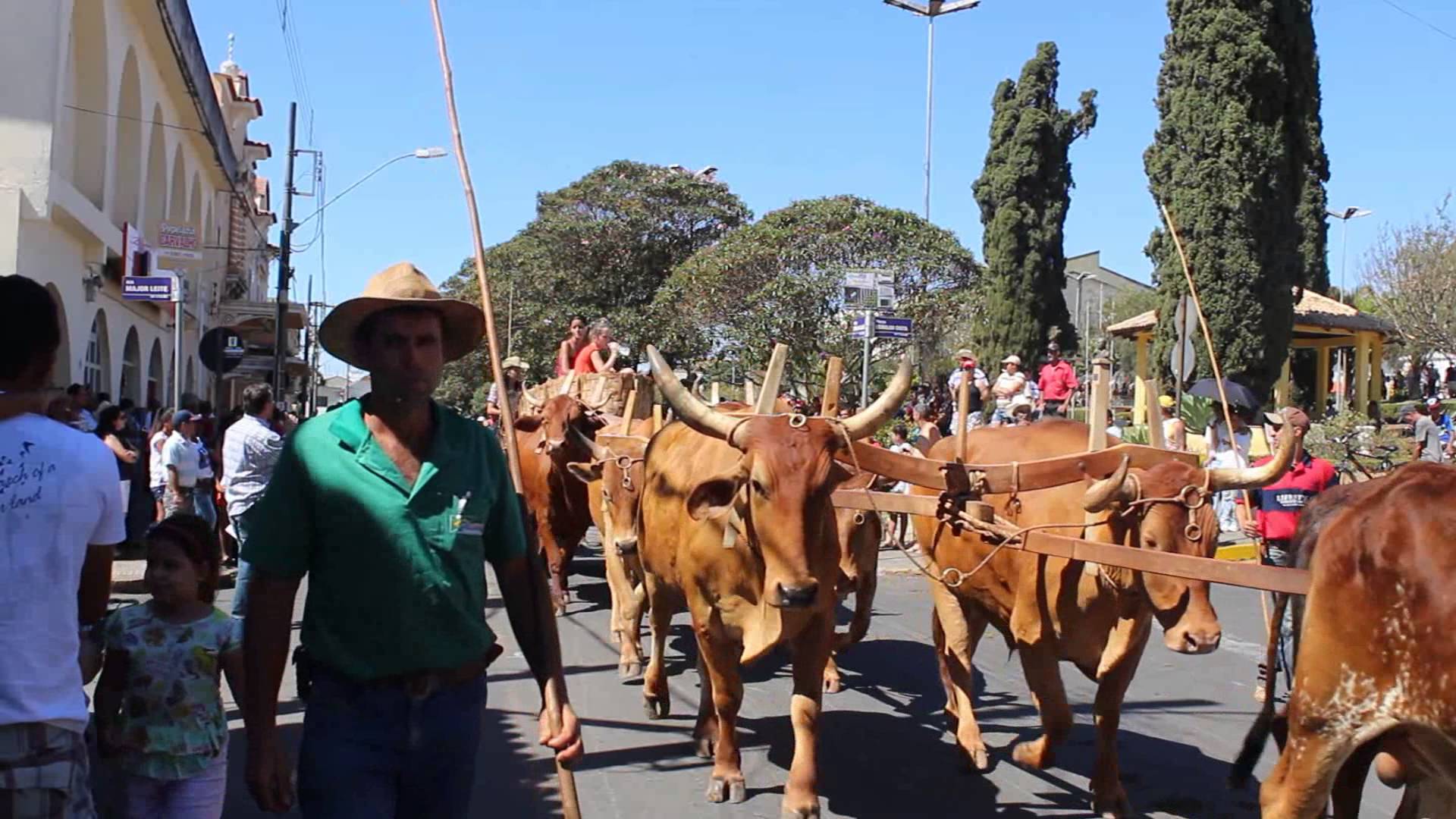 Festa de carro de boi em Paraguaçu