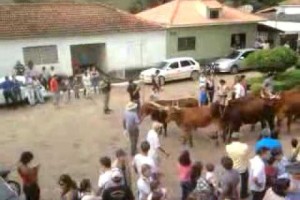 Festa de carro de boi em Santa Cruz da Prata