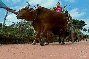 Desfile de carros de boi em Santana dos Montes